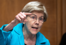 ‘Big Condiment’ warning gets Warren roasted online over progressive’s economic priorities