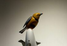 Brooklyn novelty shop reeling from ‘surreal’ row with Kelly Clarkson over $15m bird