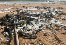 What do we still need to know about the Tyne nurdle spill?