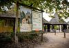 Zookeeper dies after being attacked by leopard, safari park says