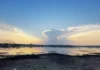 For 20 Years, Bengaluru Fought to Save This ‘Wasteland’. It Is Now a 5,678-Acre Conservation Reserve