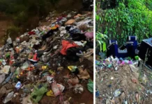 139 Bird Species Call Turahalli Home. Beneath 2 Tonnes of Waste, Volunteers Found Dog Carcasses