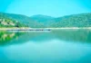 Why Thousands of Migratory Birds Fly Across Countries to 2 Man-Made Reservoirs in Bihar