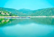Why Thousands of Migratory Birds Fly Across Countries to 2 Man-Made Reservoirs in Bihar