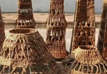 150 Andhra Women Are Turning a Harmful Water Weed Into Handbags, Home Décor & Income