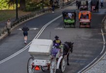 NYC votes to end nearly 170-year-old horse carriage tradition as Trump blasts ban, drivers threaten lawsuit
