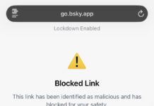 Bluesky blocks links to leaked DHS employee data as government seeks takedowns