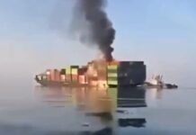 Containers and debris captured floating around the Strait of Hormuz