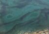 Hormuz oil spill forces closure of UAE beaches