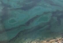 Hormuz oil spill forces closure of UAE beaches