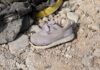 Victims of Jordan’s air strikes in Syria