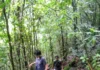 ‘The Forest Is My Home’: She Braved Rain, Leeches & Dark Nights To Check 3000+ Frogs for a Deadly Disease