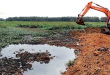 Karnataka Plans to Revive 500 Lakes: What Does a Truly Healthy Lake Look Like?