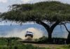 WRC expands 2027 calendar to 15 rounds as USA, UK return