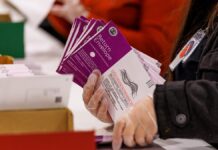 Election expert sounds alarm on how noncitizens are landing on voter rolls