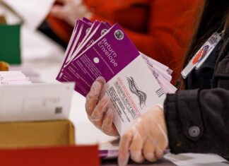 Election expert sounds alarm on how noncitizens are landing on voter rolls
