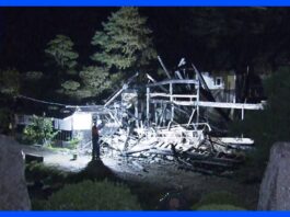 House Fire Breaks Out During Wasp Nest Removal