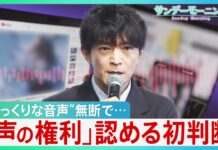 Tokyo Court Recognizes Voice Rights in Landmark AI Ruling