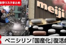 Japan Moves to Restore Penicillin Production and Develop Deep-Sea Rare Earths