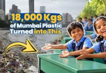 24 Hours Inside Mumbai’s Plastic Crisis: Beach Trash to School Desks