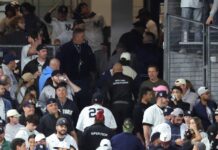 Yankees fan booted out of stadium after home run interference controversy