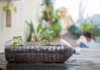 These Gardeners Have Reused Their Household Items to Grow Plants: 7 Things You Can Use Too