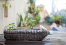 These Gardeners Have Reused Their Household Items to Grow Plants: 7 Things You Can Use Too