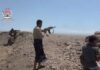 Giants Brigades lead southern Yemen fightback against the Houthis
