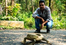 Snakebite Deaths in Odisha’s Angul Fell From 100+ to Double Digits. This Rescuer Is Changing How People Respond to Snakes