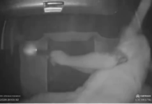 Heroic South African dad kills armed carjacker in gunfight with gang as he shields daughter from bullets