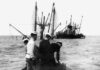 Delicate operation carried out on explosives-packed WWII shipwreck