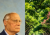 Who Was Punjab’s ‘Sixth River’? Meet the Man Behind Chandigarh’s Lush Green Spaces