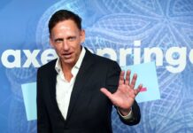 Peter Thiel disapproves of Iran war in notable break with Trump: ‘We should not have done it’