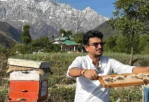 250+ Farmers Trained, Many of Them Women: How This Collective Is Reviving Traditional Beekeeping