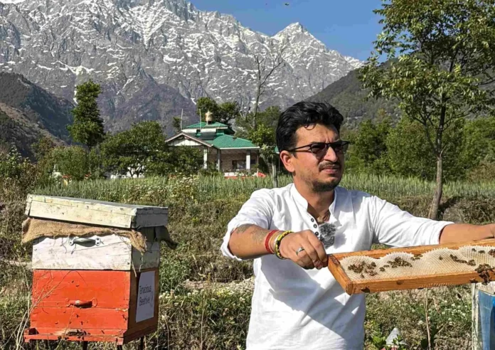 traditional-beekeeping-in-himachal-pradesh-2026-10-01-18-07-09.jpg