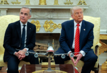 A must-win midterm state is the real loser of Trump’s Canada trade war