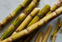 India Produced 454 Million Tonnes of Sugarcane. What Else Can We Make From It?