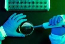 What to Know About Shamonda Virus Following the First Reported Human Infection
