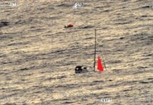 Whale sinks yacht in South Pacific, sailors rescued alive 18 hours later